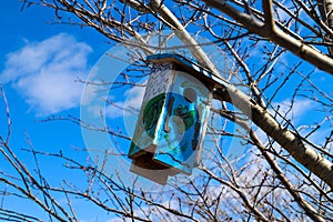 A blue and green wooden bird house hanging in a bare winter tree with a blue sky and powerful clouds at the Memphis Botanic Garden