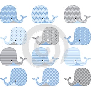 Blue and Grey Cute Whale Collections