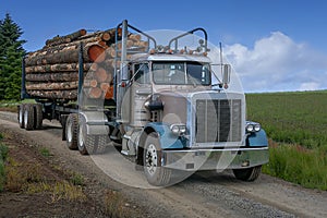 A blue and grey logging truck is transporting wood on Oregon, USA