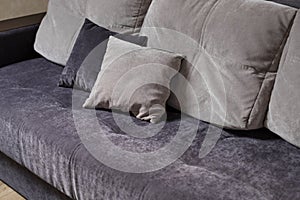 blue and grey pillows on couch in living room