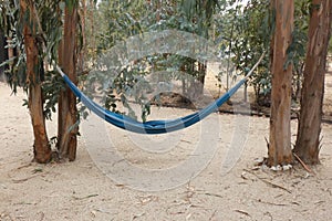 Blue Hammock