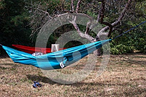 Blue hammock, red hammock and someone is reading book in it. photo