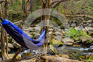 Blue hammock in the woods with a small river