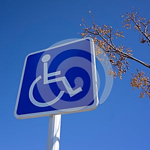 Blue Handicapped Parking Sign with Blue Sky and Tree Branch