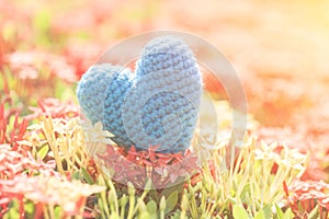 Blue Heart on Green spike flower tree for love and Valentine`s Day