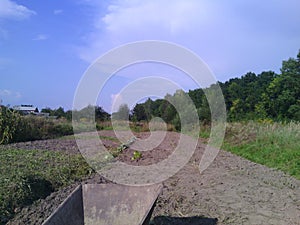 Blue heaven with white clouds. Forest near field. Land and wheelbarrow. Summer sunny day.