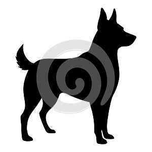 Blue Heeler illustrated in vector created with artificial intelligence