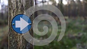 Blue hiking trail marker pointing the direction in the woods