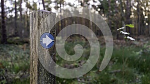 Blue hiking trail marker pointing the direction in the woods