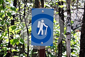 A blue hiking trail marker on a tree