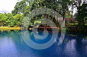 Blue hole in Espiritu Santo Island, Vanuatu