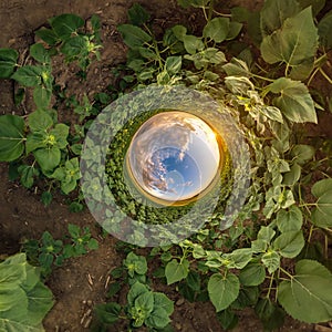 blue hole sphere little planet inside sand or dry grass round frame background