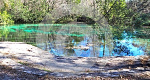 Blue Hole Springs at Ichetucknee Springs State Park