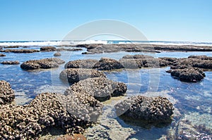 Blue Holes: Indian Ocean Tide Pools