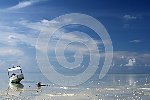 Blue horizon palawan philippines
