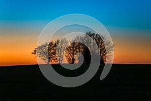 Blue hour over bare winter trees on hill. Blue and orange evening sky after sunset.