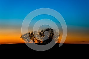 Blue hour over bare winter trees on hill. Blue and orange evening sky after sunset.