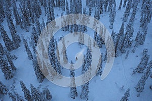 Blue hour at Riisitunturi National Park, Finland drone shot