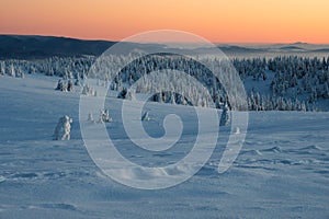 Blue hour from Vidlica peak in Mala Fatra during winter