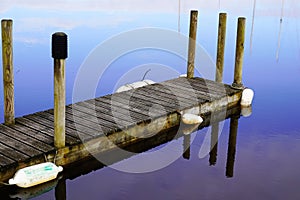 Blue hour water reflection sky sunrise fishing boat wooden pontoon in sunset Lake Hourtin in Gironde france