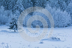 Blue hour in winter time Carpathian Mountains