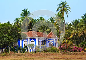 The Blue House in the coconut palm grove in Goa. photo