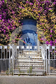 Blue house entry surrounded by flowers