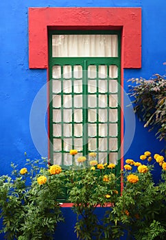 Blue House and Gold Marigolds