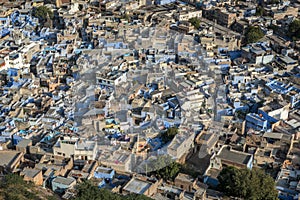 Blue houses in the city Jodhpur in Rajasthan, India