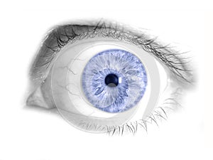 Modrý človek oko 