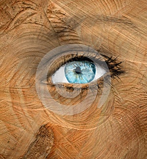 Blue human eye with wood texture - Aging concept