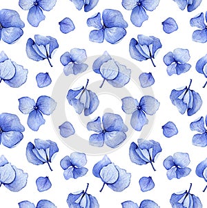 Blue hydrangea watercolor seamless pattern.