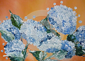 Blue hydrangeas flowers over an orange background photo