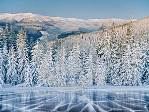 Blue ice and cracks on the surface of the ice. Frozen lake under a blue sky in the winter. The hills of pines. Winter