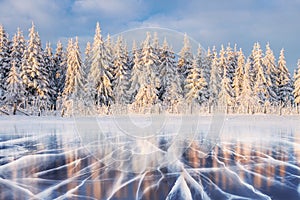 Blue ice and cracks on the surface of the ice. Frozen lake under a blue sky in the winter. The hills of pines. Winter