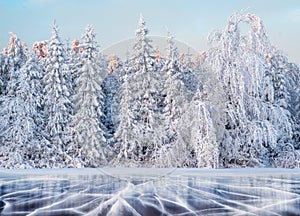 Blue ice and cracks on the surface of the ice. Frozen lake under a blue sky in the winter. The hills of pines. Winter