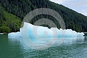 Blue Iceberg  842964