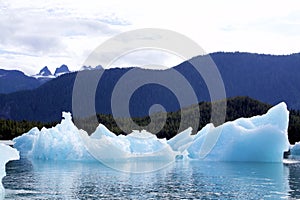 Blue Iceberg  842968