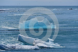 Blue iceberg floating at Jokulsarlon Glacier Lagoon in Iceland