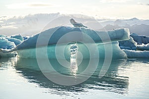 Blue iceberg with reflection at ice lagoon Jokulsarlon, Iceland