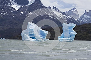 Blue icebergs in Grey Lake, Torres del Paine, Patagonia, Chile