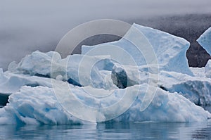 Blue Icebergs Narsarsuaq