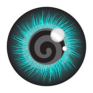 Blue iris eye realistic vector set design isolated on white bac
