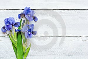 Blue iris flowers over white wooden background