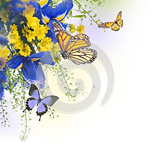 Blue irises with yellow daisies