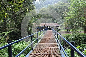 Blue iron bridge in the middle of the forest