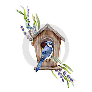 Blue jay bird on the birdhouse with leaf and flower decor. Watercolor illustration. Hand drawn beautiful bird with
