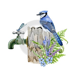 Blue jay bird on a garden water tap with floral decor. Watercolor illustration. Hand drawn vintage style garden faucet