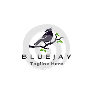 Blue jay bird silhouette logo design vector illustration