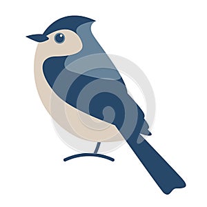 Blue jay bird, vector illustration, flat style,side